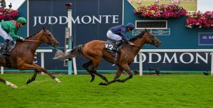 YORK RACECOURSE'S FLAGSHIP JUDDMONTE INTERNATIONAL RATED LONGINES WORLD'S BEST HORSERACE 2024